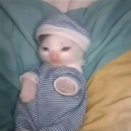 Foto de tu causa en su sala