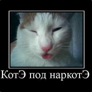котЭ под наркотЭ