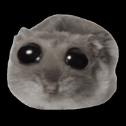 kit's avatar
