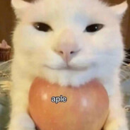 nick written by kitten