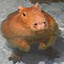 Дмитрий Капибара