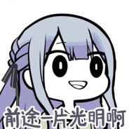 前途真是一片光明