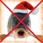 NIE DLA Karpia w galarecie