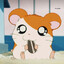 Chaomi