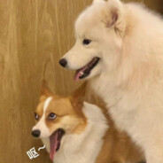 轻松的黑羽快斗