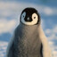 Doctor Penguin