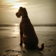 Som£Kเฦd♡P£ภGนใฦ - steam id 76561198158539561