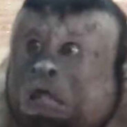 moneky - steam id 76561198156178366
