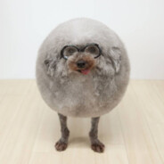 женя дилдорез 2017