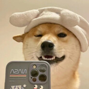 该网名不对傻子显示