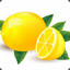 Micro Lemon