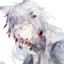 Noctis