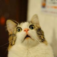 [BOT] GTTH - steam id 76561197964823058
