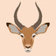 Impala