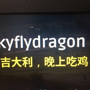 Skyflydragon
