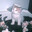 meowmef