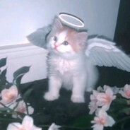 meowmef