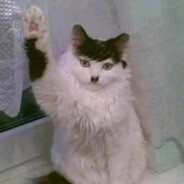 zczczc ᕕ(◠ڼ◠)ᕗ