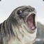 Seal With it