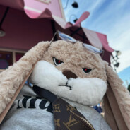 理塘无人机终于飞回我手里