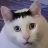 凸=￣ω￣=