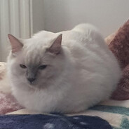 Gustav18yearoldnewproplayer