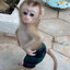 Lun