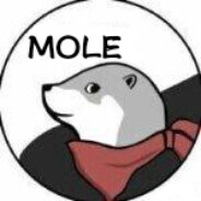 来小亮给他整个活