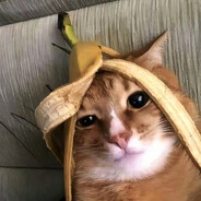 我的小鱼你醒了