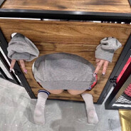 想小鳥依人可鳥不小