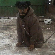 Zoro Жилистий