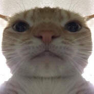 PolicjantFromPlock(murzyn)