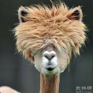 Big Avatar