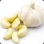 Garlic Bulb Threshold