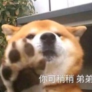 没关系还有我在