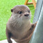 Bean_163