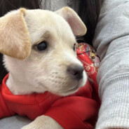 残局别BB 你行你别死