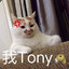 我Tony马