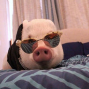 大地球测试 工号021356