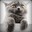 PF | Tsarenir