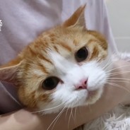 我剑也未尝不利