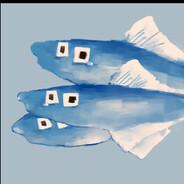 家有软肚猫满满咪