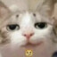 Naykon