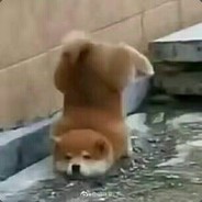 [SVIP]king of white give