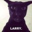 LARRY