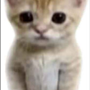 Dwarflover410 avatar