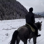 花马踏蹄溅酒香
