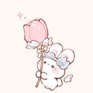 Koala ♡