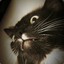 Mr Deebz
