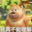 超超1182722536